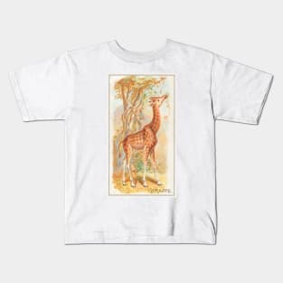 Giraffe (1890) Kids T-Shirt